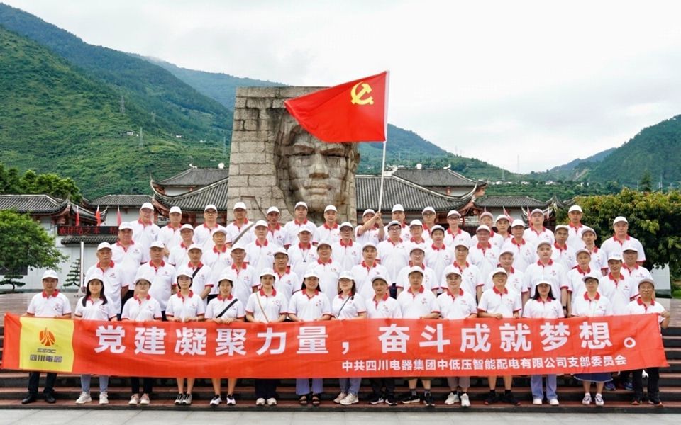 四川电器开展“党建凝聚力量,奋斗成就梦想”主题党日活动